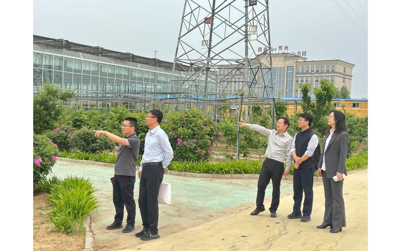 河北證監局監管處領導蒞臨潤農節水開展例行走訪調研，指導公司高質量發展